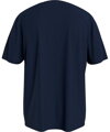 Pánske tričko CALVIN KLEIN (KM00605-21)