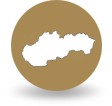 Ikona